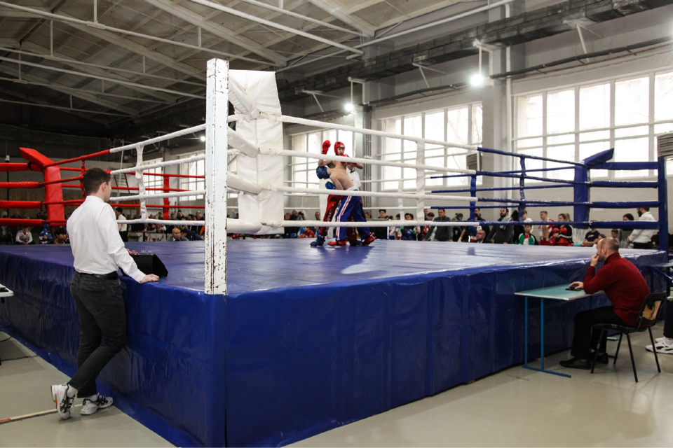 image-11-12-23-11-54-1